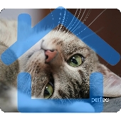 Коврик для мыши PERFEO PF_D0660 