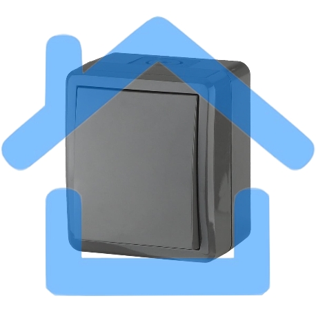 Выключатель 11-1401-03 IP54, 10АХ-250В, ОУ, Эксперт, серый (16/160/2560) Б0020670 ЭРА