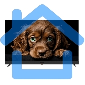 Телевизор Topdevice 55