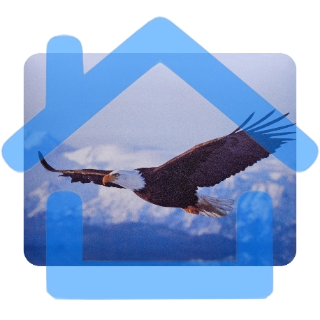 Коврик для мыши Buro BU-M40005 рисунок/орел