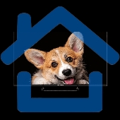 Телевизор Topdevice 43