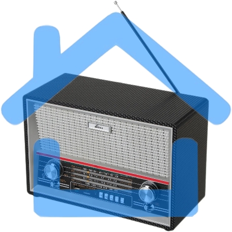 Радиоприемник Ritmix RPR-102 черный-4