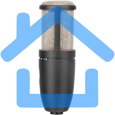 Микрофон AKG P220 3101H00420-14