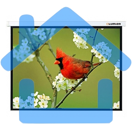 Экран Lumien 305x305см Master Picture LMP-100107 1:1 настенно-потолочный рулонный