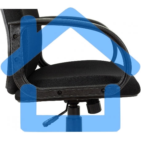 Кресло руководителя Бюрократ CH-808AXSN/TW-11 черный TW-11-10