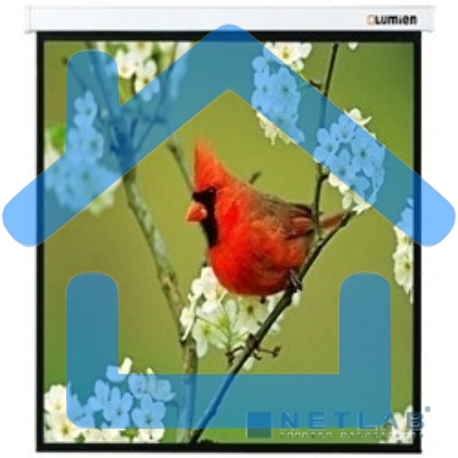 Экраны LUMIEN LUMIEN Master Picture LMP-100129 220*220 1:1, черная кайма по периметру-1