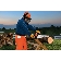 Бензопила STIHL MS 1701.3кВт/1.8лс 30.1см3 шина 14'' цепь 3/8''-1.1мм-50 3.9кг (баз.модель)